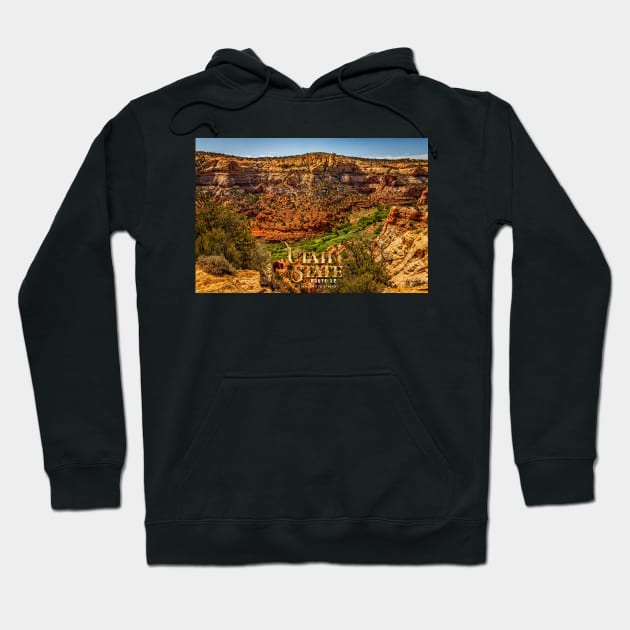 Utah State Route 12 Scenic Drive Hoodie by Gestalt Imagery